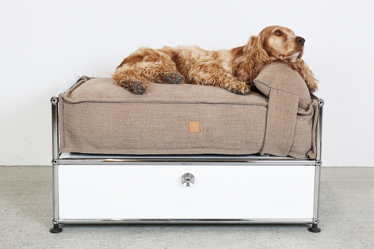 Ein Platz für den Hund, im USM-Mass