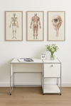 USM Haller Schreibtisch Medical Desk